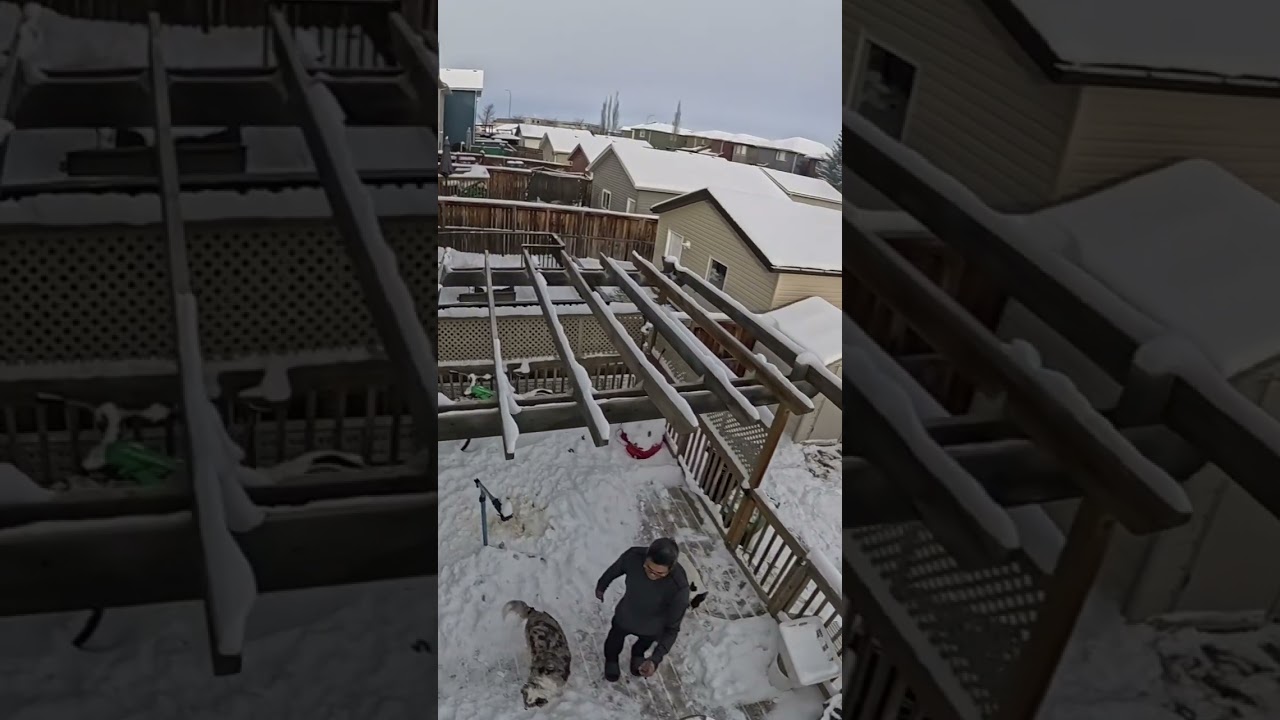 GoPro Max2: Sample Quik App Keyframe Edit