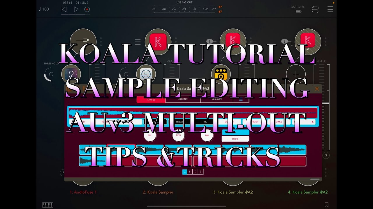 KOALA Sampler Tutorial - Sample Slicing & Editing - Using AUv3 & AUv3 Multi-Out & Tips & Tricks
