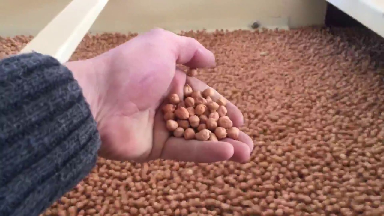 Nohut Eleme Makinesi GÜLMAK VEM-240  chickpea screening machine/  машина для просеивания нута