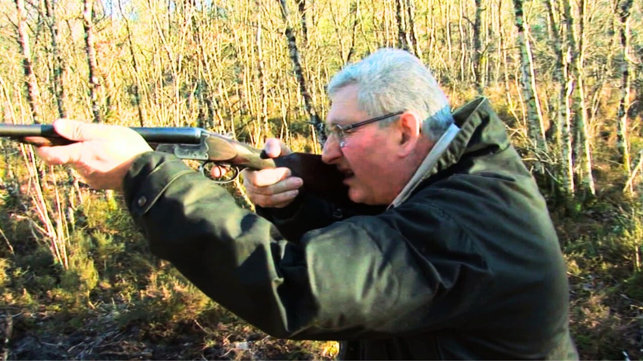 GUIDE DE CHASSE AUX CHIENS D’ARRETS