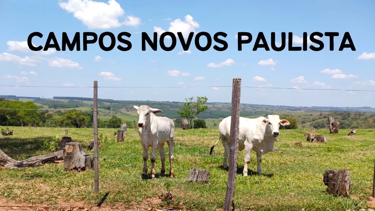 Campos Novos Paulista SP - Passeio da Rota 408 pela cidade - 8° Temp - Ep 40