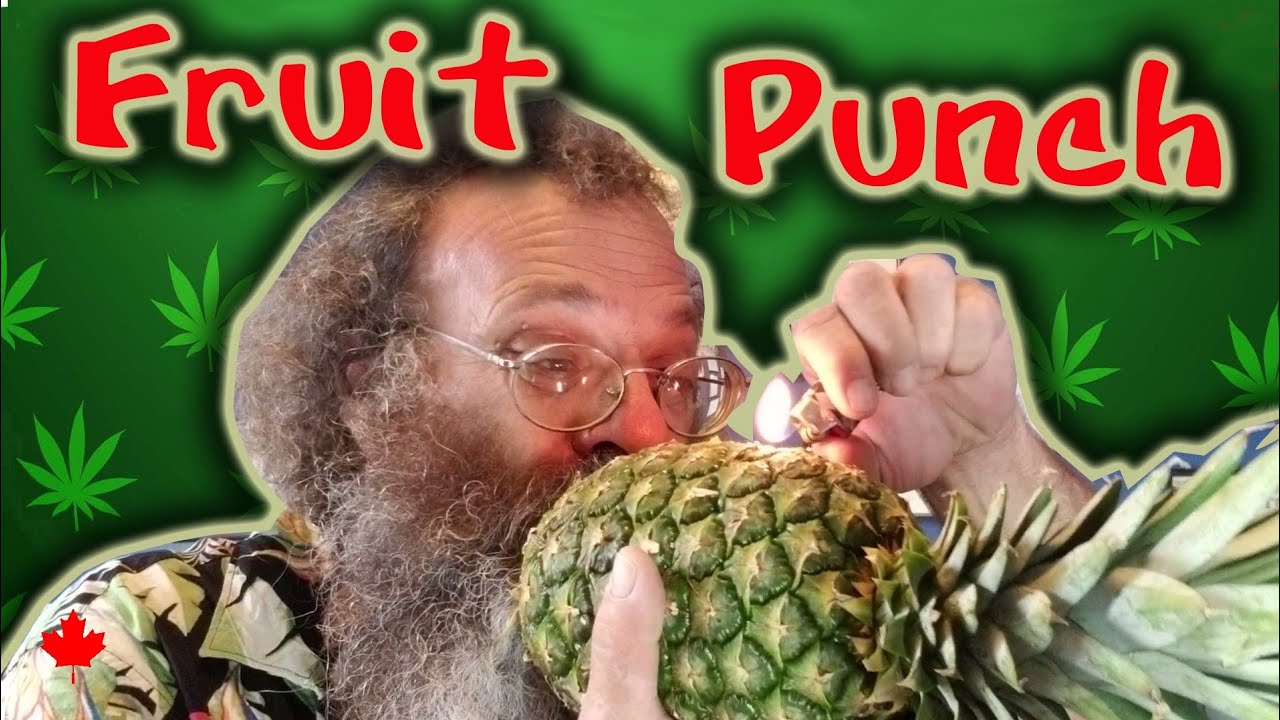 Pot Strains - Fruit Punch - A Sativa that'll Make You Feel Better