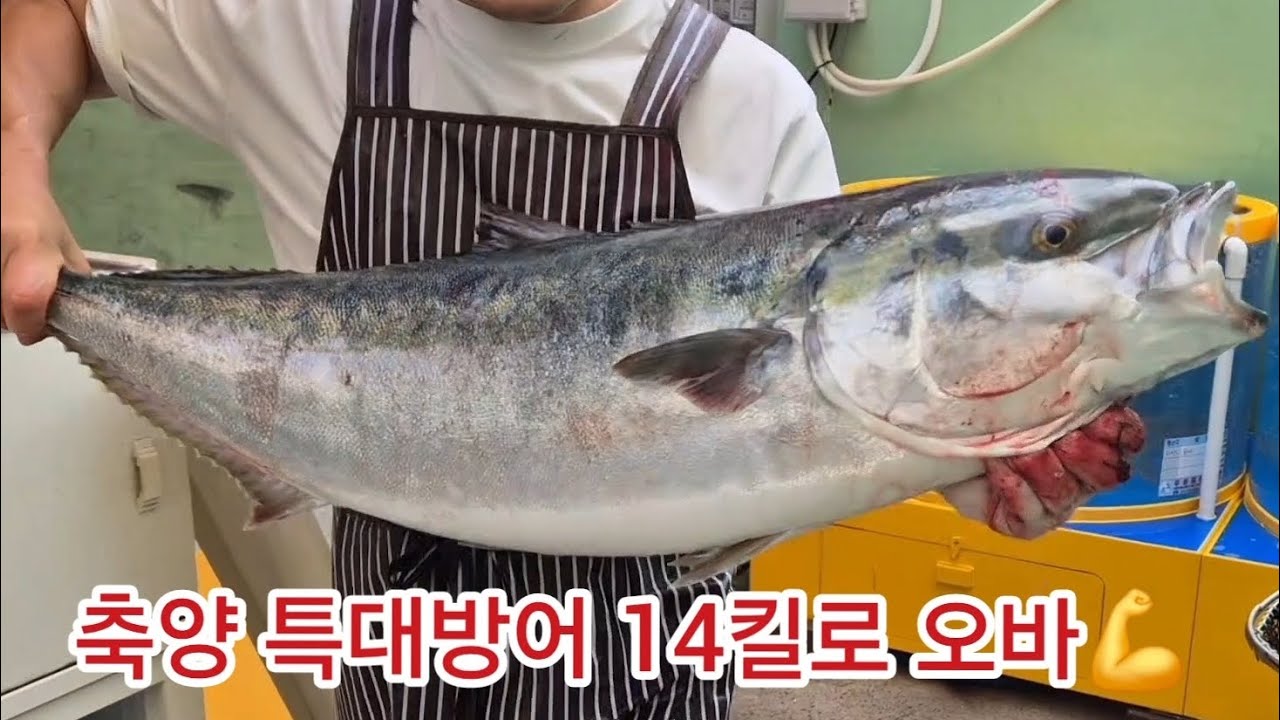 뚜껑을 열어봐야 천국인지 지옥인지 압니다~🤭
