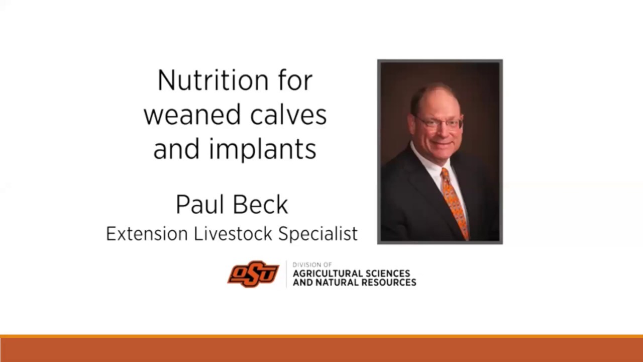 OSU Extension: Nutrition for Weaned Calves and Implants