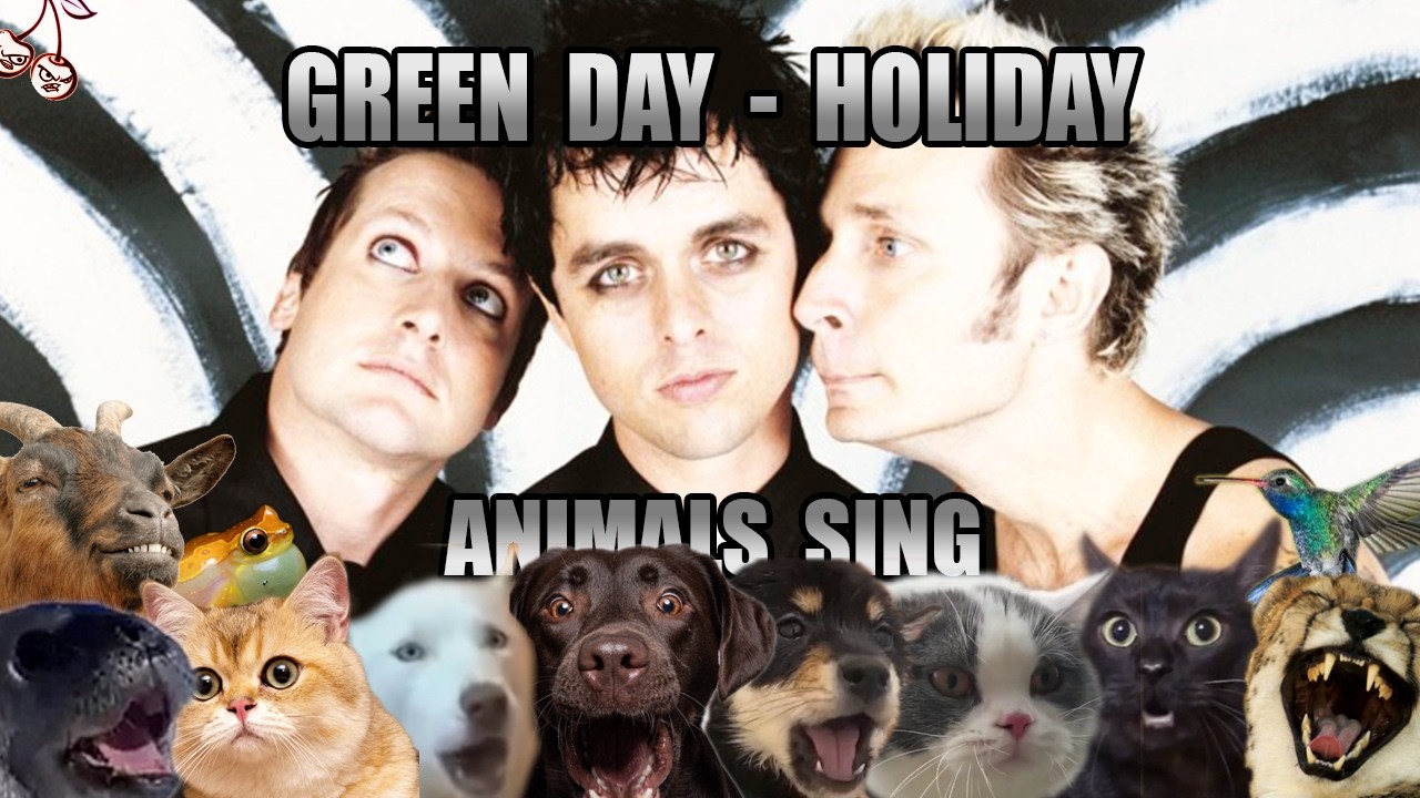 Green Day - Holiday (Animal Cover)