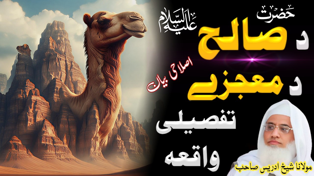 Pashto Islamic Bayan | Molana Shaikh Idrees Sahib // Da Hazrat Salih AS Da Mujize Tafsile Waqia