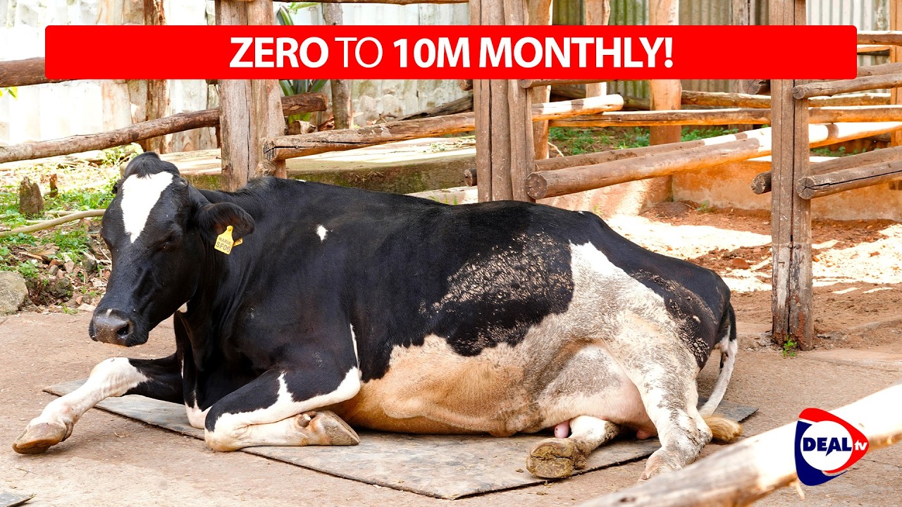 How Dairy Farming Turns Into Real Profit - We Toured Smart Farm 🐄🔥
