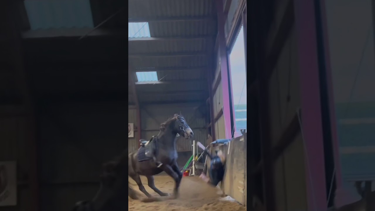 Shocking Ejection: Horse Training Goes Wrong! 😱