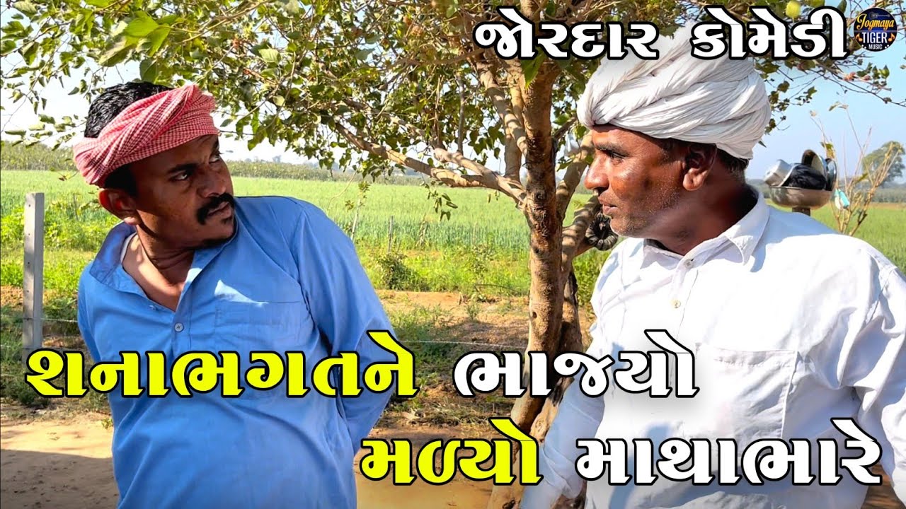શનાભગતને ભાજ્યો મળ્યો માથાભારે | SHANABHAGAT NE BHAJAYO MALYO MATHABHARE | JOGMAYA TIGER COMEDY 