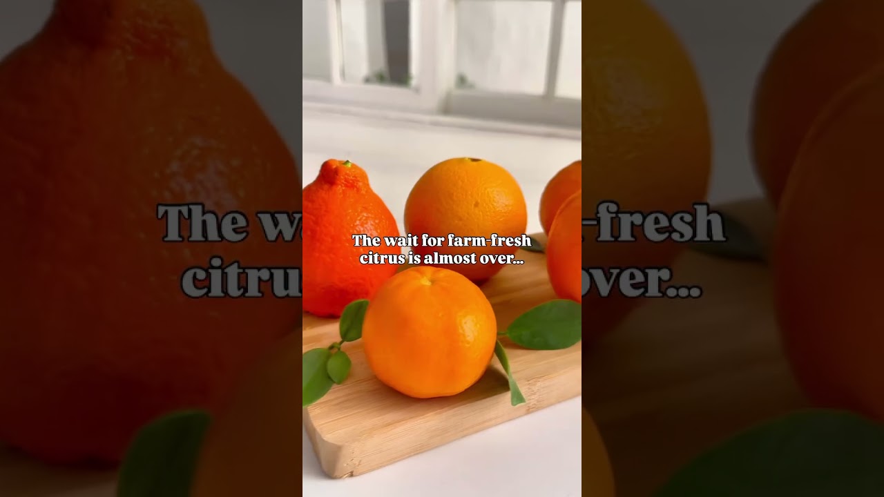 Citrus season is almost here!