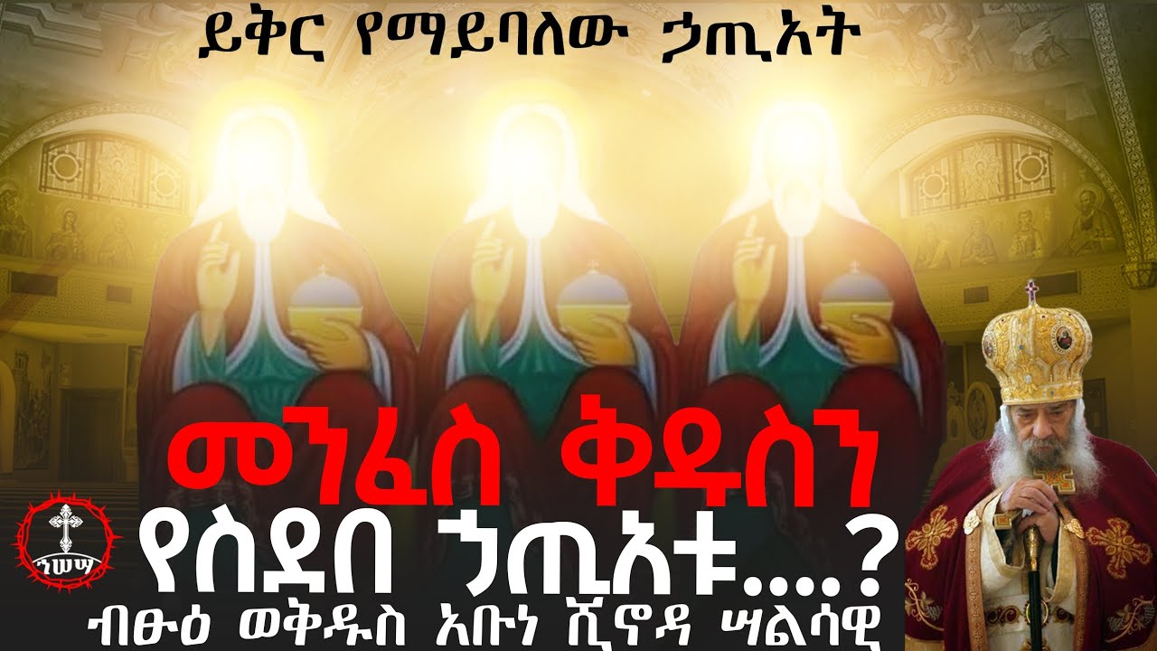 ይቅር የማይባለው ኃጢአት ? | መንፈስ ቅዱስ የሰደበ  አይሰረይለትም | ብፁዕ ወቅዱስ አቡነ ሺኖዳ ሣልሳዊ @Hasesa1