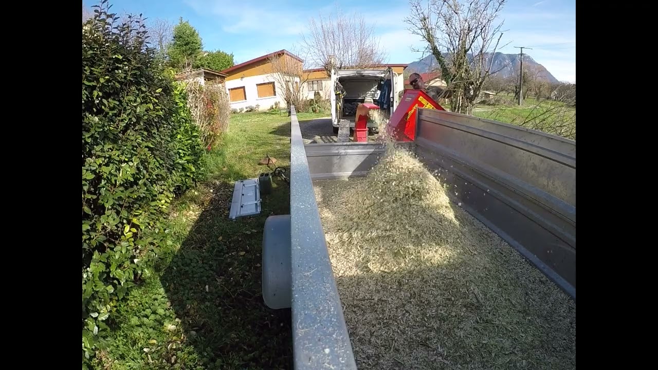 Broyeur DelMorino Scutum SCGX 390 : broyage de branches de Mûrier à feuilles de platane