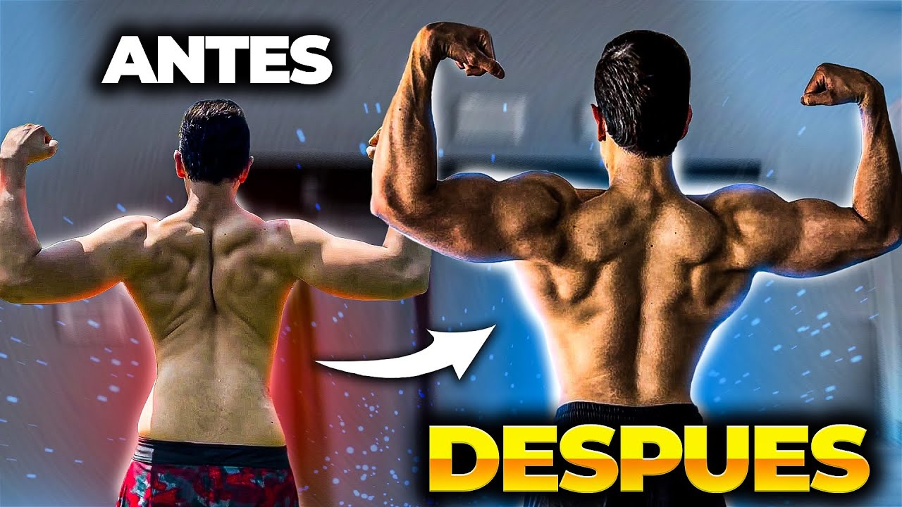Entrenamiento de Espalda Simplificado: 3 Movimientos, Grandes Resultados