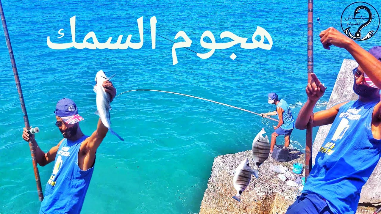 حاسة يجب ان يمتلكها أي صياد لصيد السمك بكثرة @1kifachnsaydo941