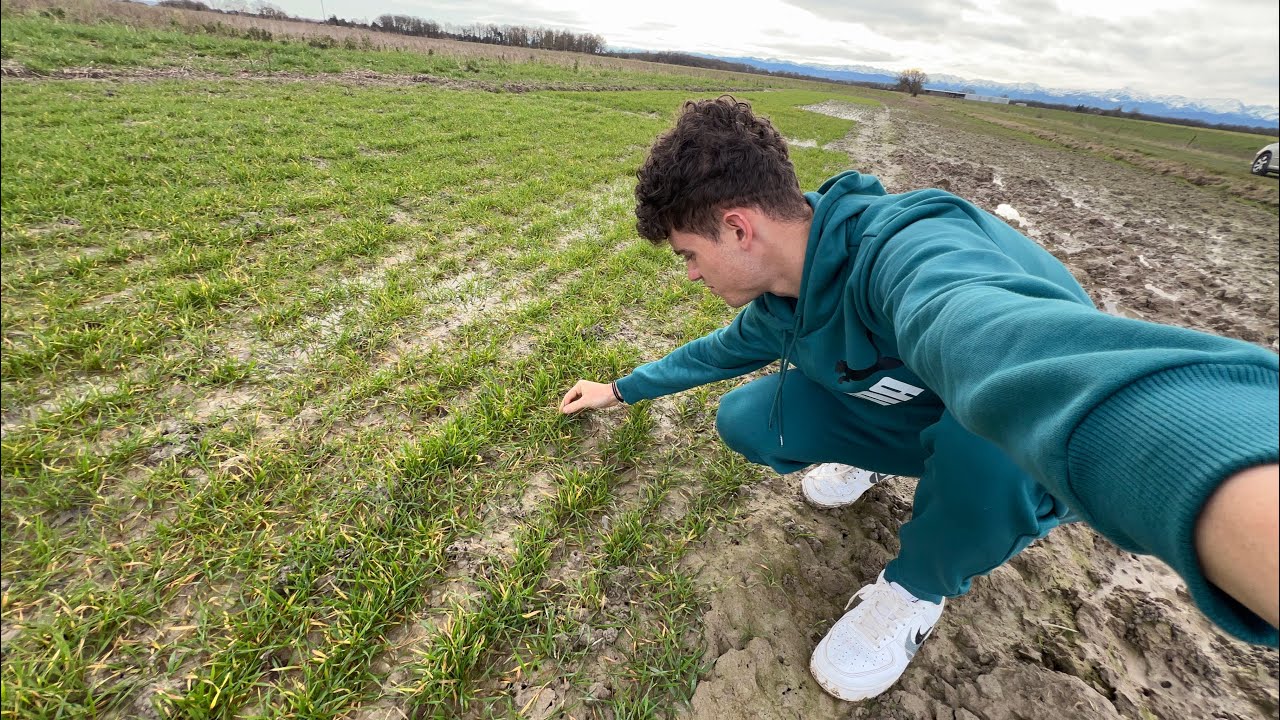 Tour de plaine de culture d’hiver, pour voir leurs avancements 🌱 -2025