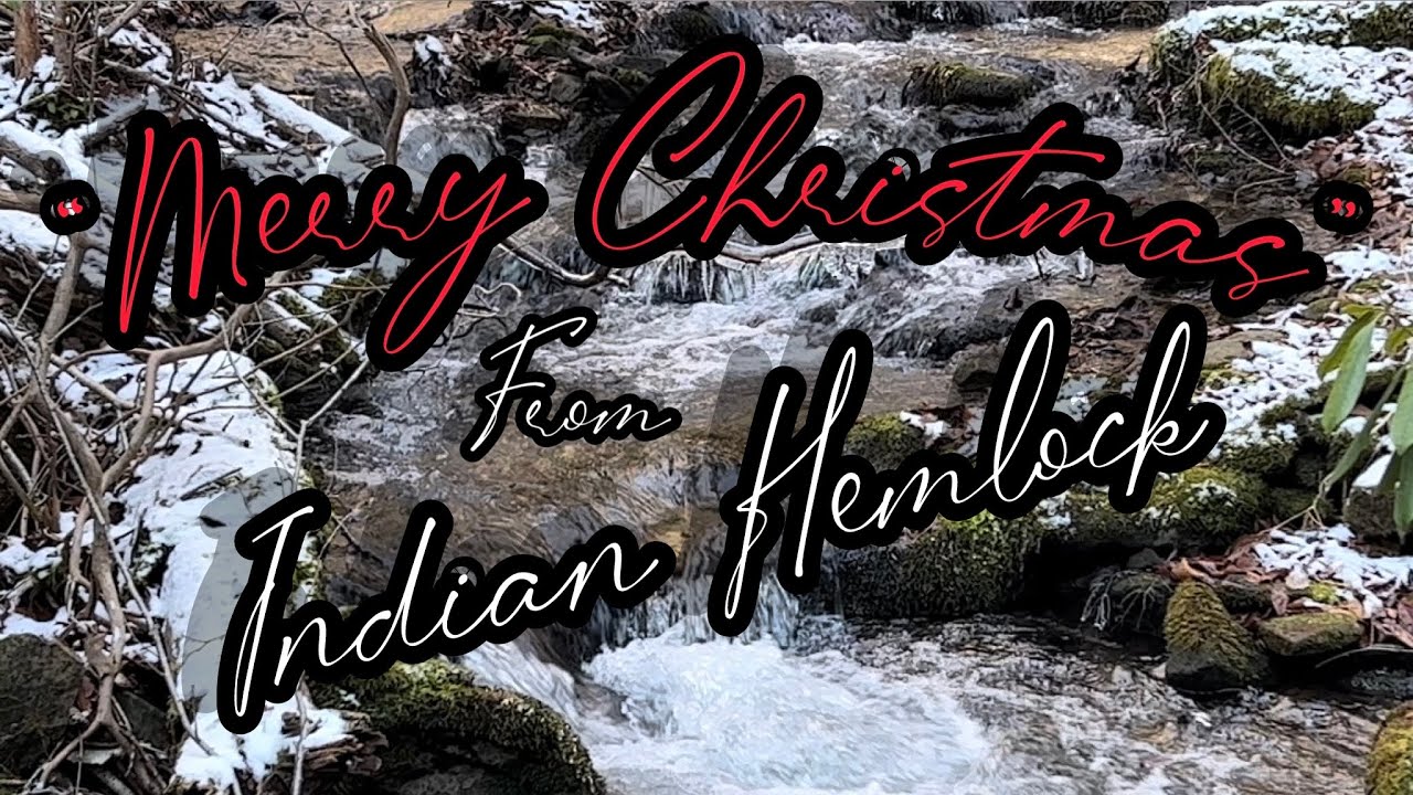 Merry Christmas & Little Day Hike/Lunch