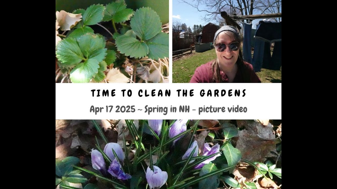 spring cleanup cleaning leaves opening things up for the flowers to blossom