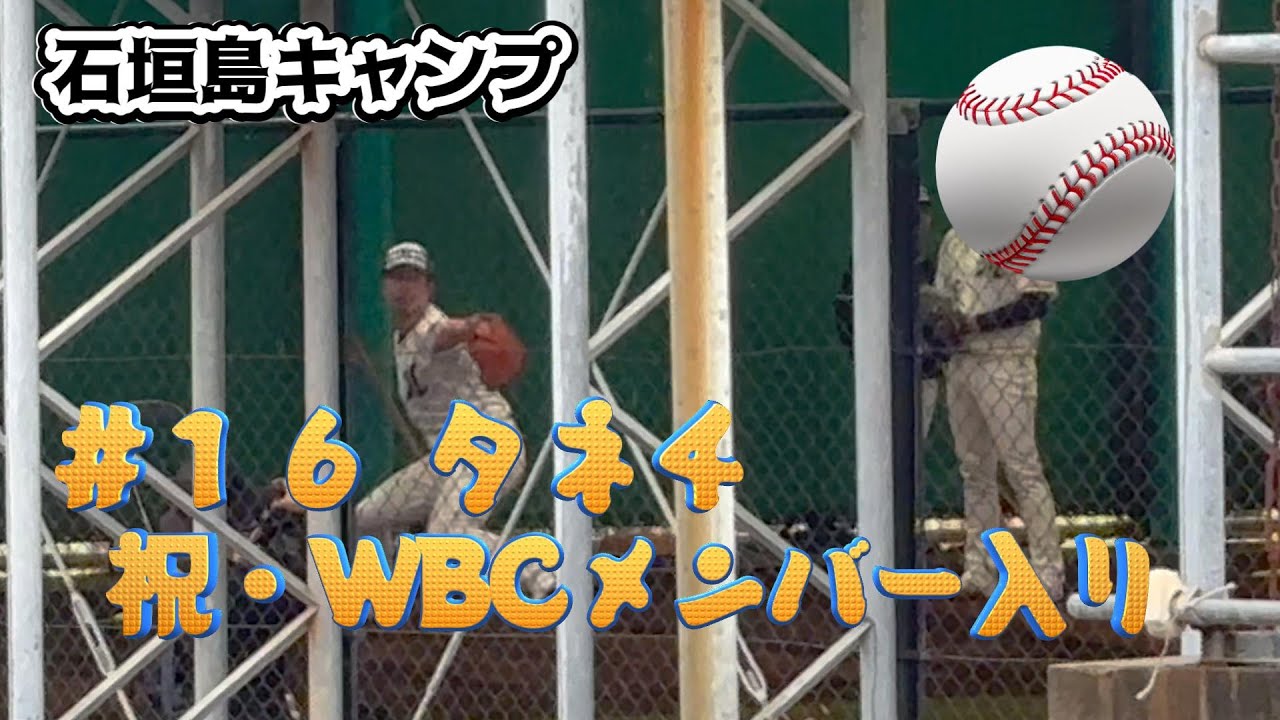 石垣島千葉ロッテキャンプ2日目！種市投手投げる！#石垣島 #千葉ロッテマリーンズ#野球#キャンプ #okinawa #沖縄 #fishing #釣り#クニチャン