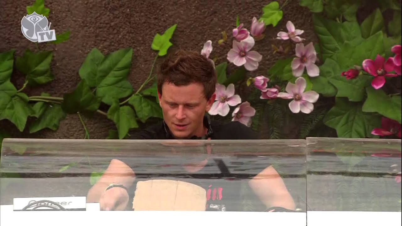 Tomorrowland 2013 - Fedde Le Grand