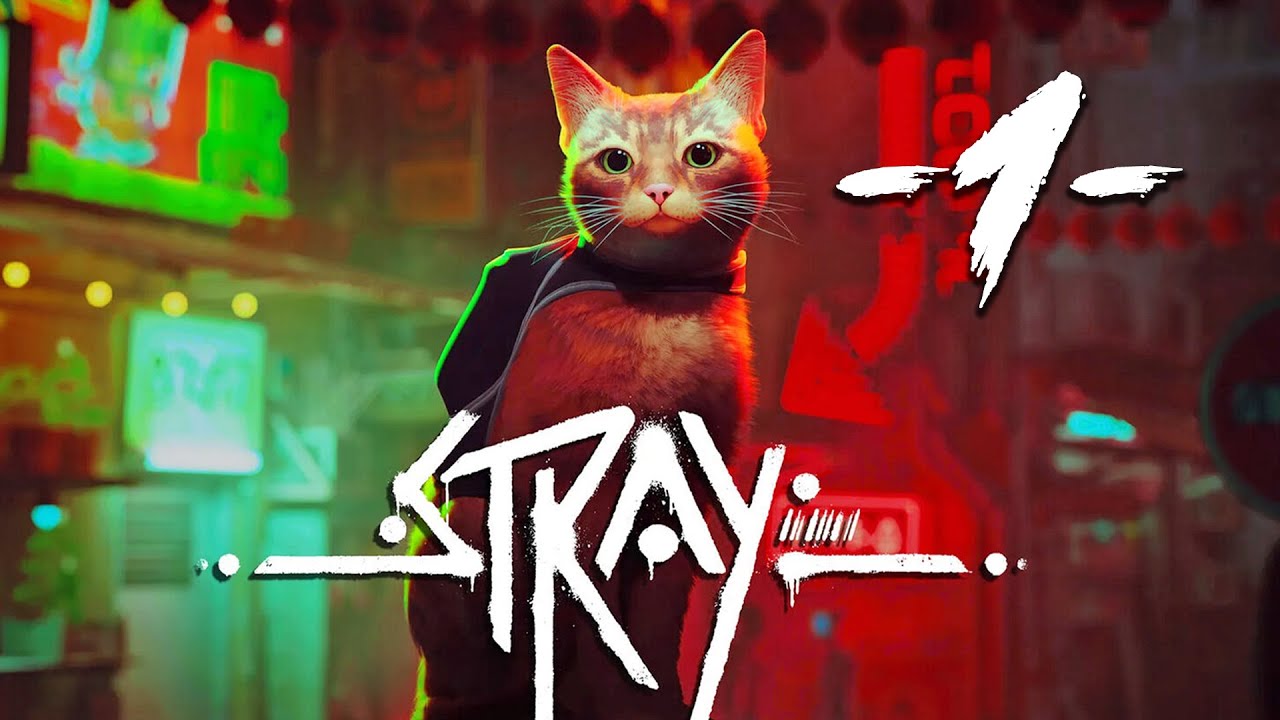 GRA, GDZIE JESTEŚ KITKU | Stray [#1]
