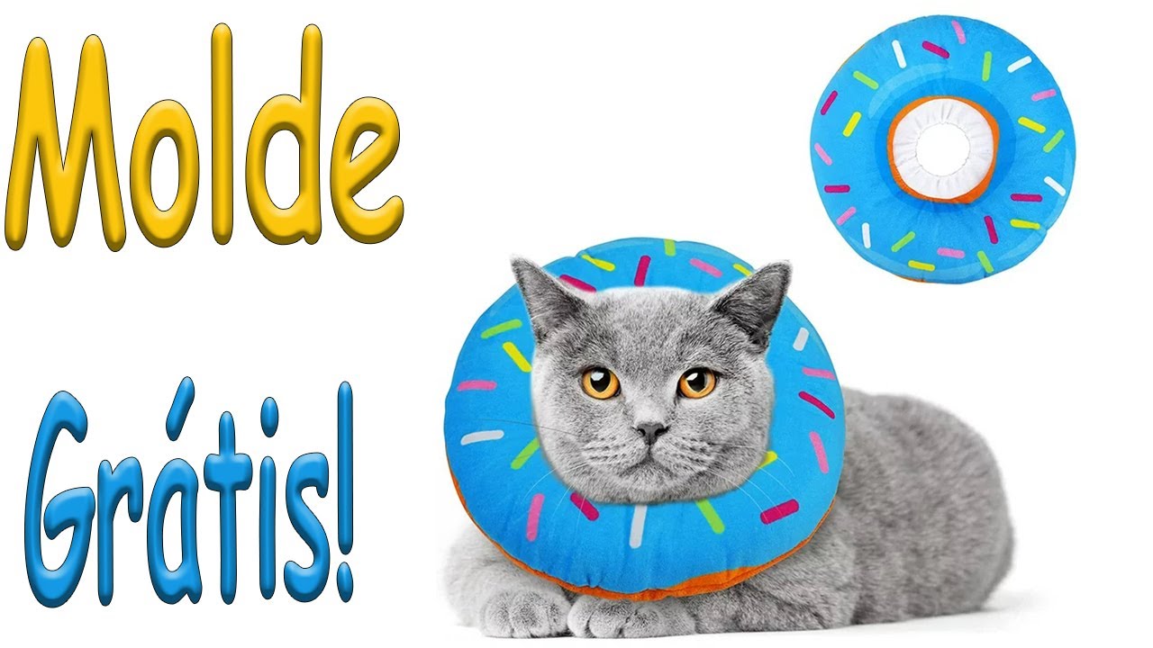 Como Fazer colar elizabetano Pet (Molde Grátis link na descrição)