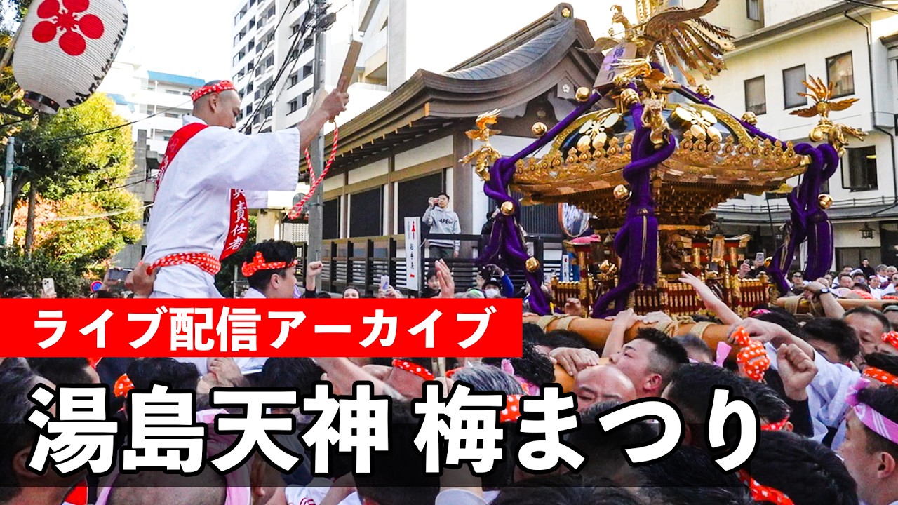 湯島天神 梅まつり 神輿渡御 2026【お祭りライブ配信⛩️】Yushima Tenjin Plum Festival