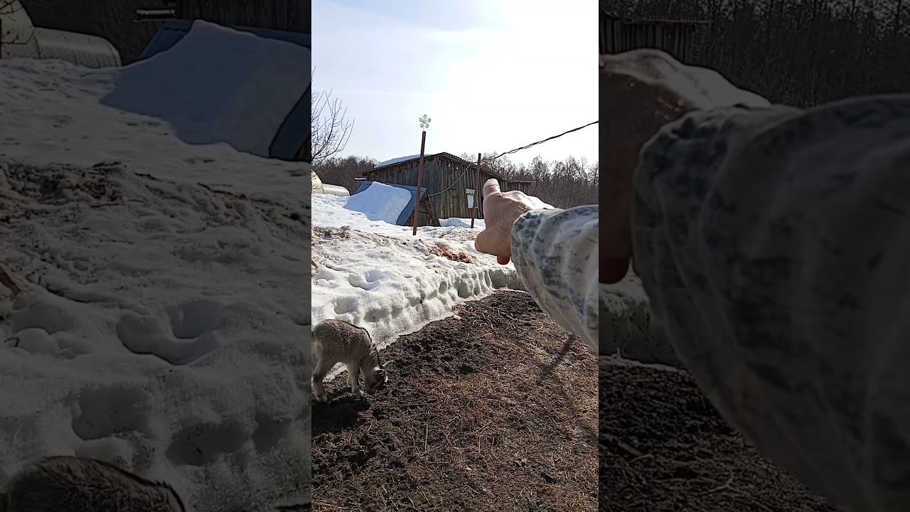 Малышня резвится на свежем воздухе.