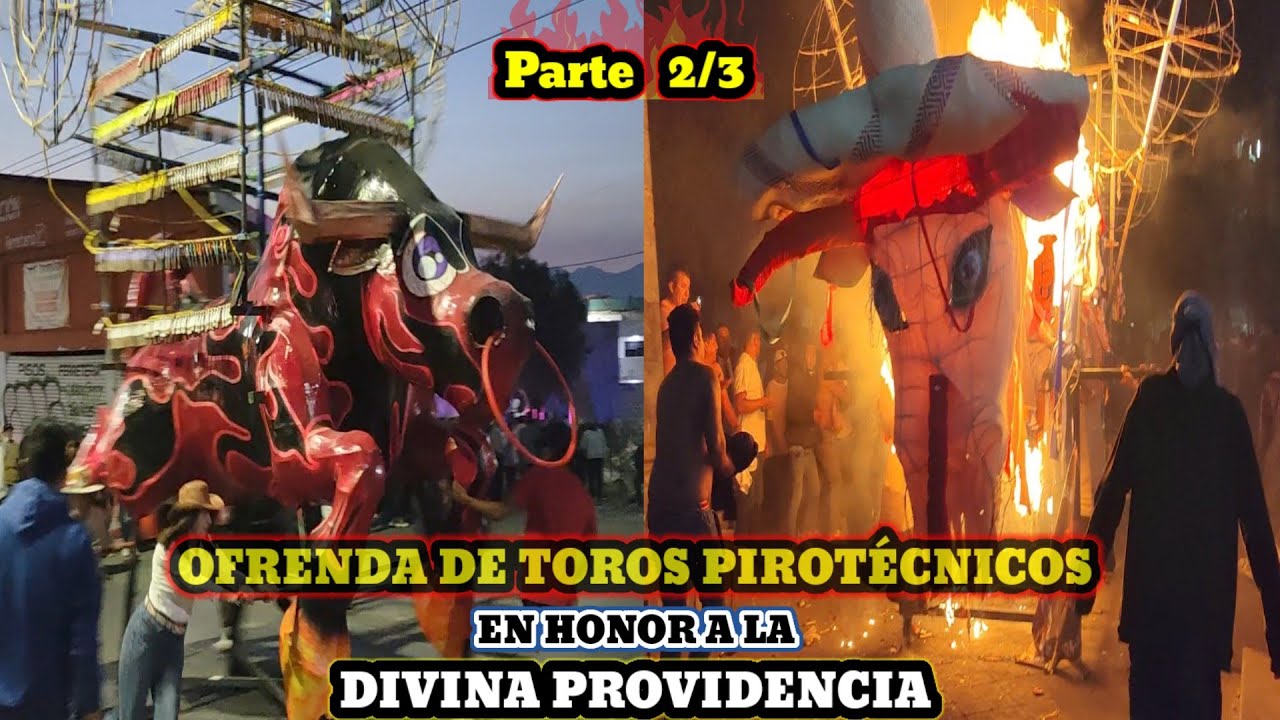 OFRENDA DE TOROS PIROTÉCNICOS EN HONOR A LA DIVINA PROVIDENCIA 1/1/2025 MELCHOR OCAMPO,MEX (2/3)
