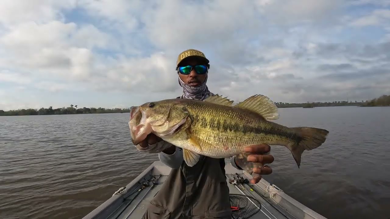 Louisiana bass fishing