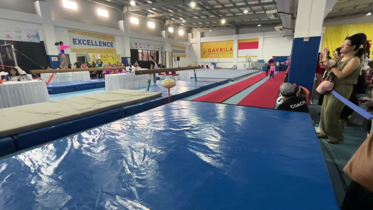 Vaulting WAG Level 3 IGI 2025