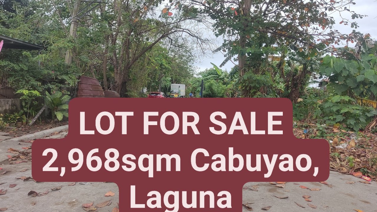 LOT FOR SALE 2,968sqm Cabuyao, Laguna