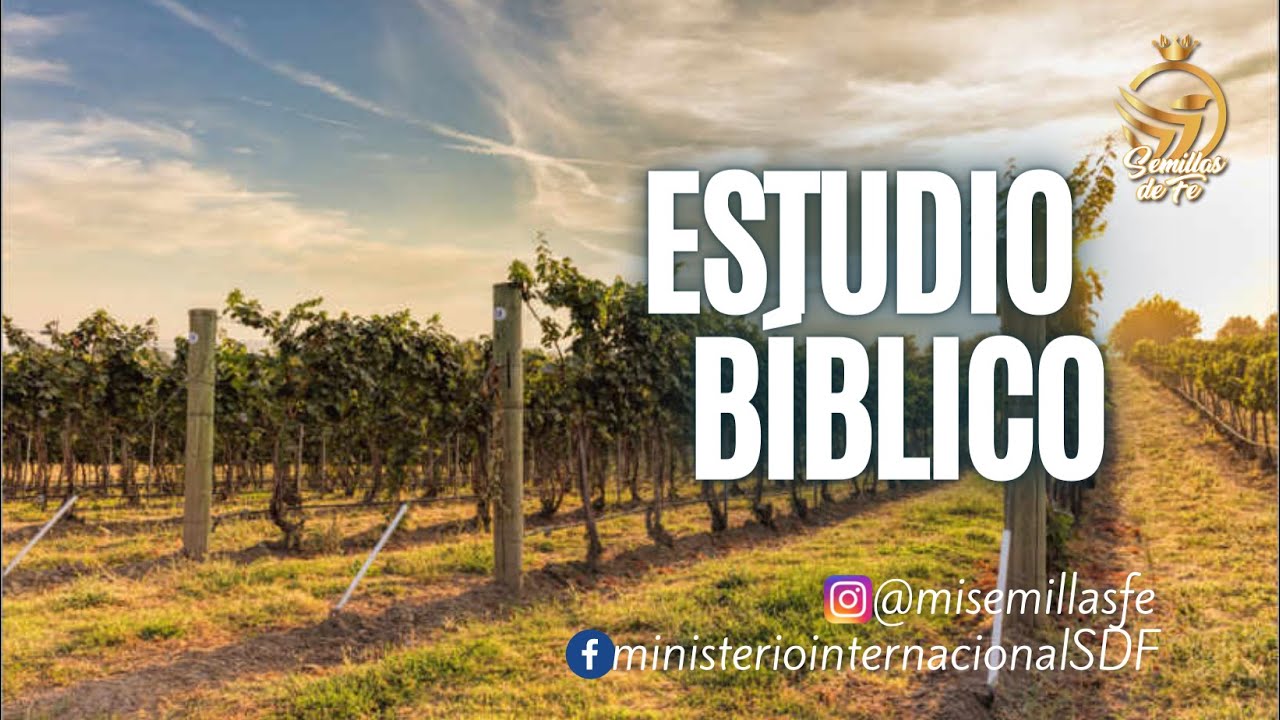 Estudio bíblico parábola de los obreros de la viña