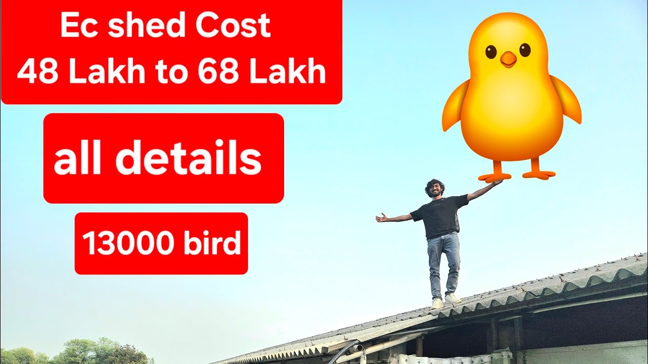construction cost of 300×30 Ec poultry farm. Ac poultry farm construction cost. Ec farm cost.Ac farm