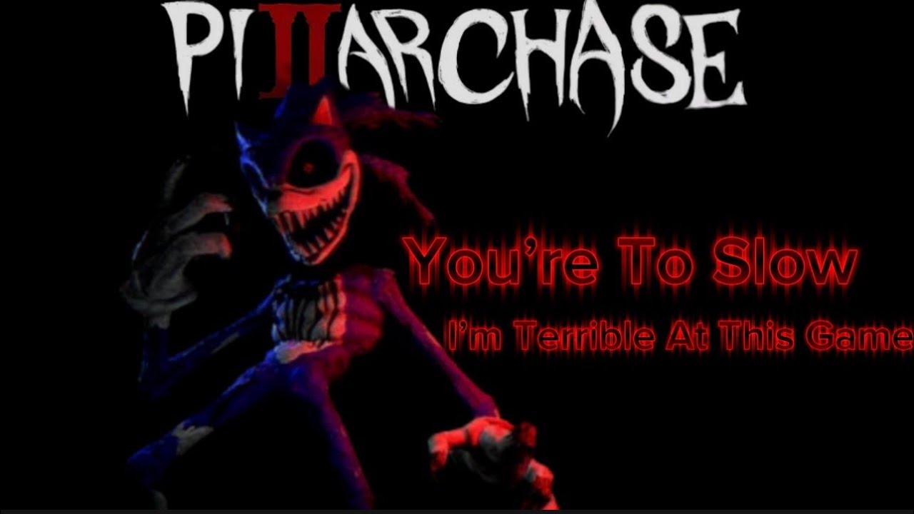 Idiot VS 5 people in Pillar Chase 2 Sonic EXE Gameplay ( I Suck At This Game )