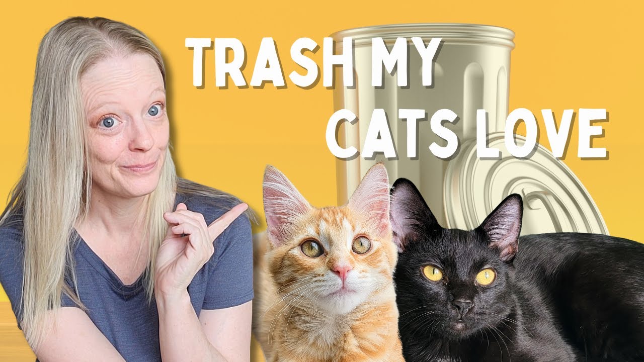 Trash or Treasure? Garbage My Cats Actually Play With