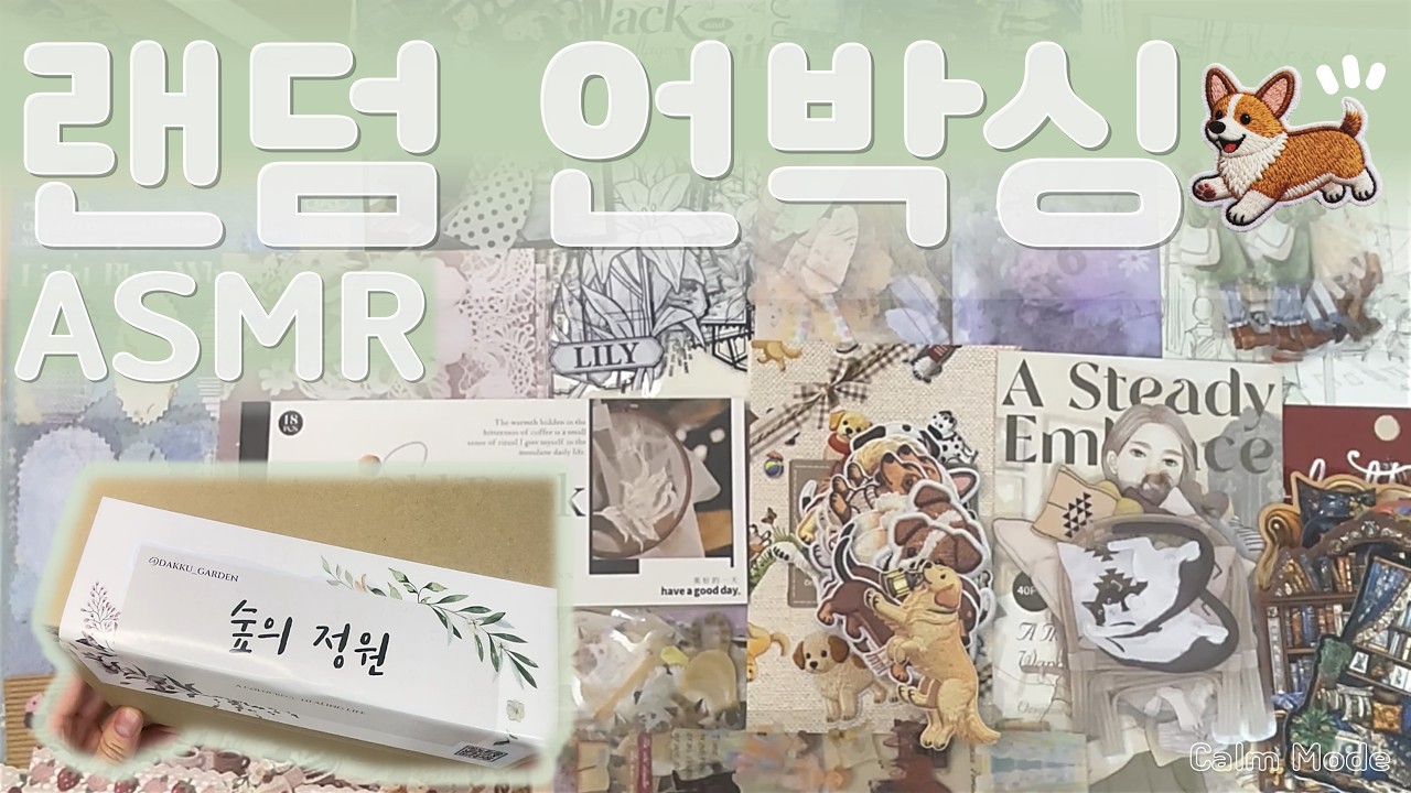 ASMR 다꾸 | Unbox 01 | 랜덤박스 첫 언박싱🤍 | 언박싱 📦✨