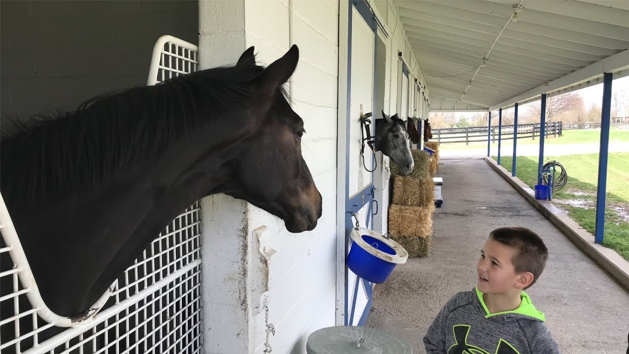 Magdalena Thoroughbred Horse Farm