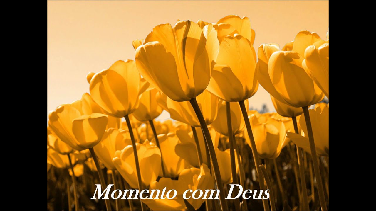 Momento com Deus 04