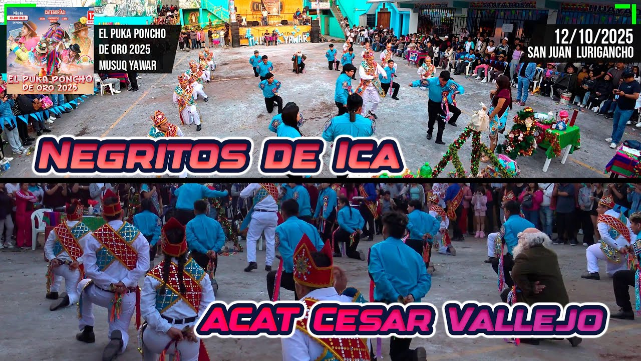 Negritos de Ica - ACAT Cesar Vallejo / Puka Poncho de Oro 2025 Musuq Yawar