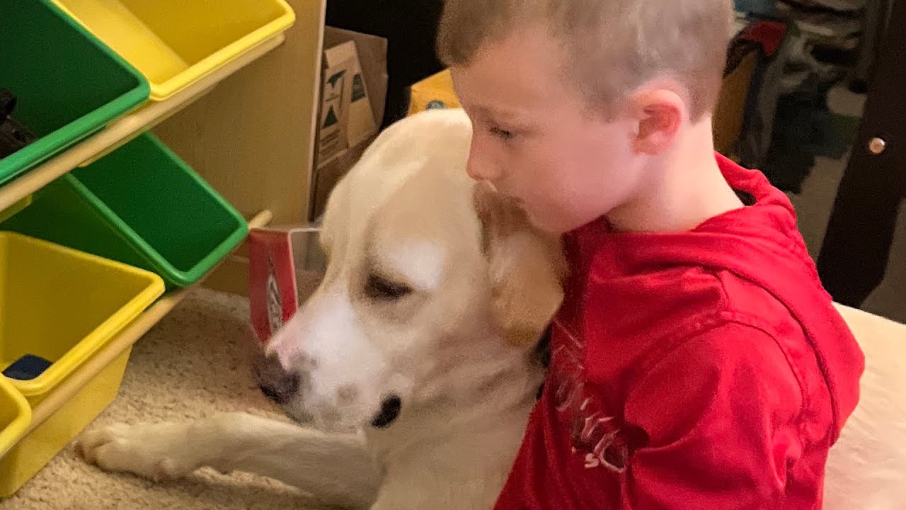 Special needs rescue dog is so sweet to his family