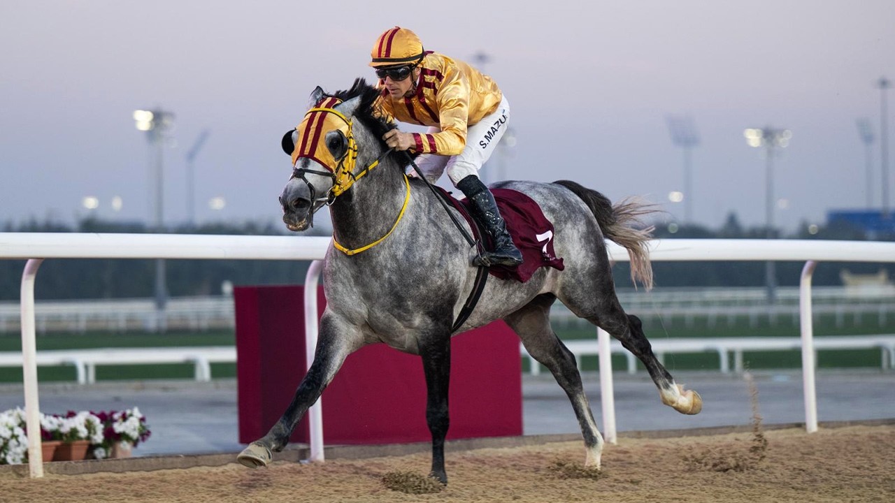 RM 49  Al Rayyan Race 5 -  H.H. The Amir Sword Festival - Day 2