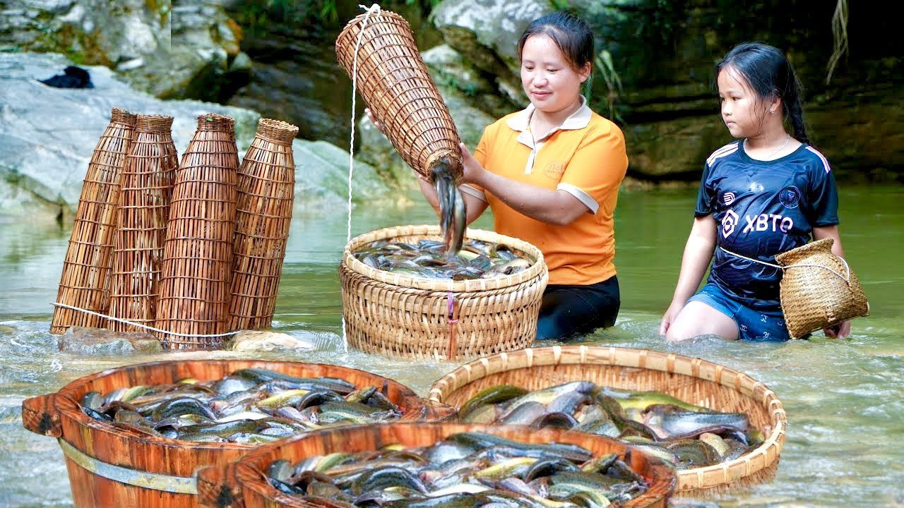 Traditional fishing techniques - The Luu Linh family caught a lot of fish using bamboo traps.