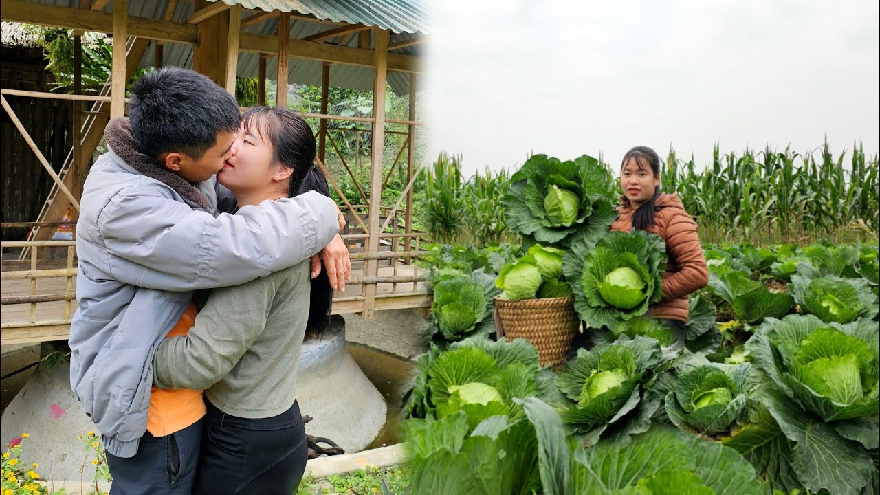 85 Days of Harvesting Agricultural Products for Sale - Building a Daily Life | Linh's Life