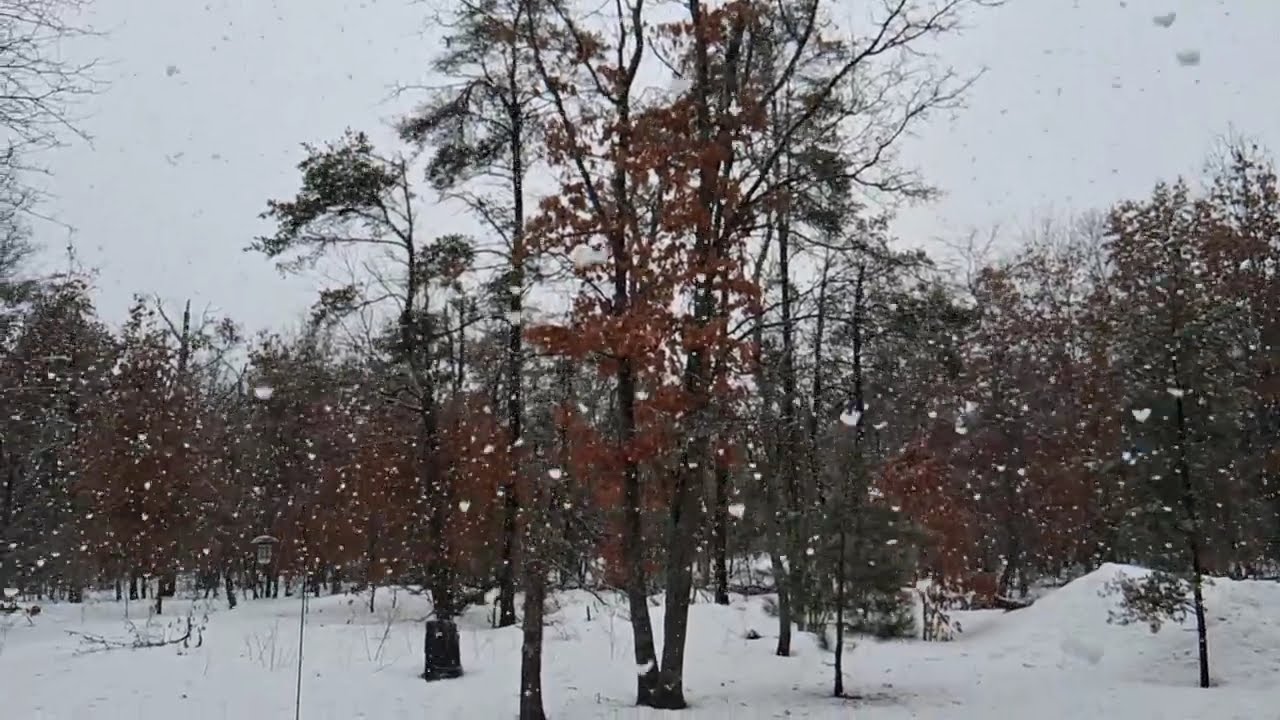 Huge Snowflakes ❄️ 