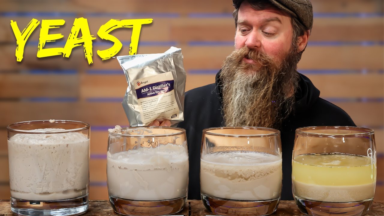 Is Your Yeast Dead? How To Keep It Alive!