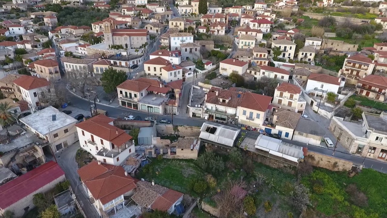 ΧΡΥΣΣΟ ΦΩΚΙΔΑΣ