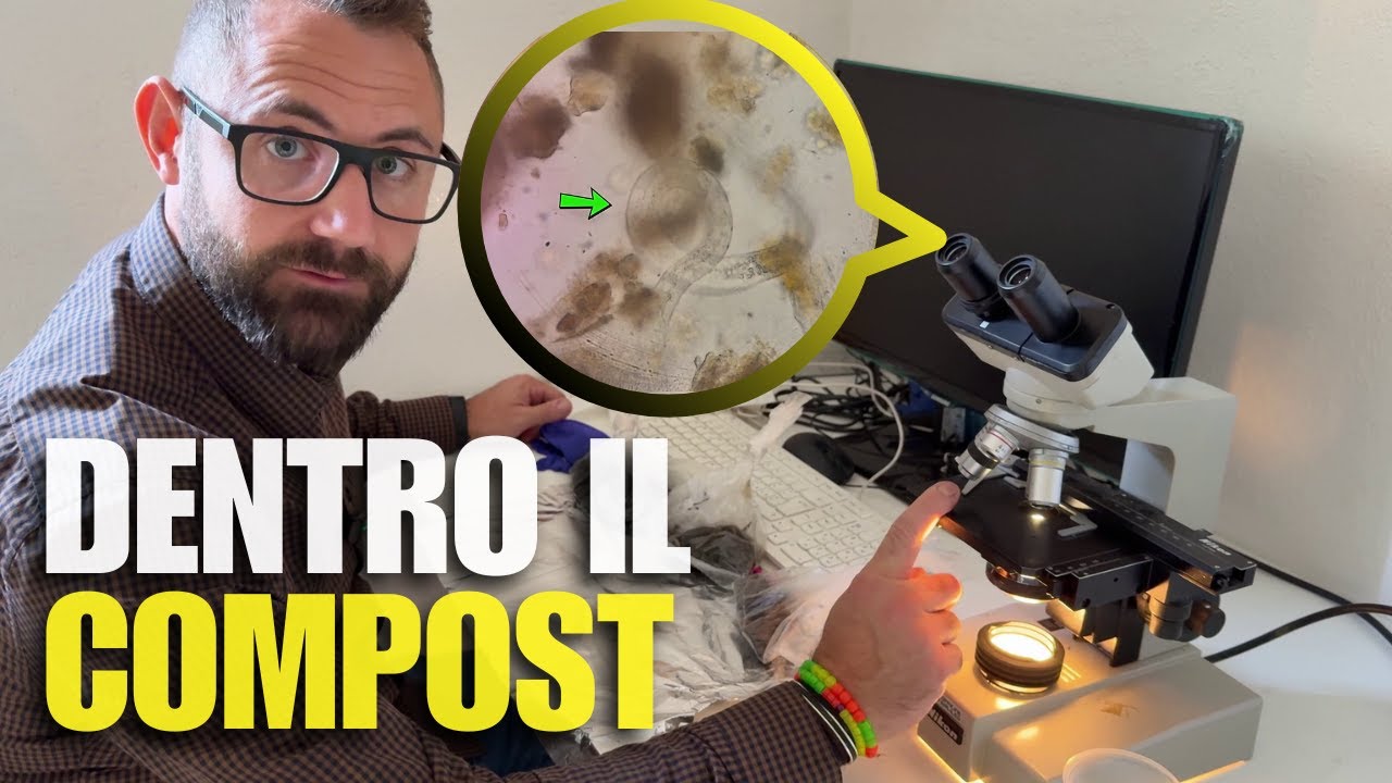 DENTRO IL COMPOST: LA VITA NASCOSTA AL MICROSCOPIO #agricolturanaturale #compost