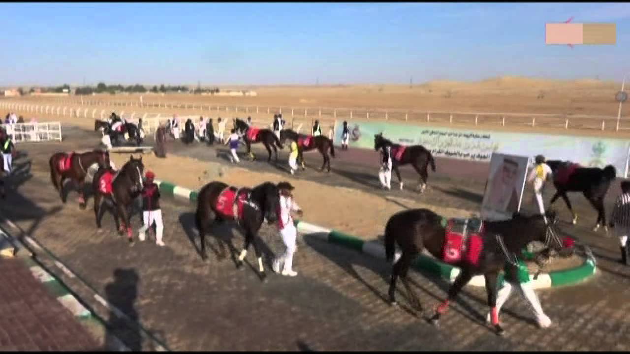 سباق الفروسية الثالث 1437 - سكاكا الجوف (7)