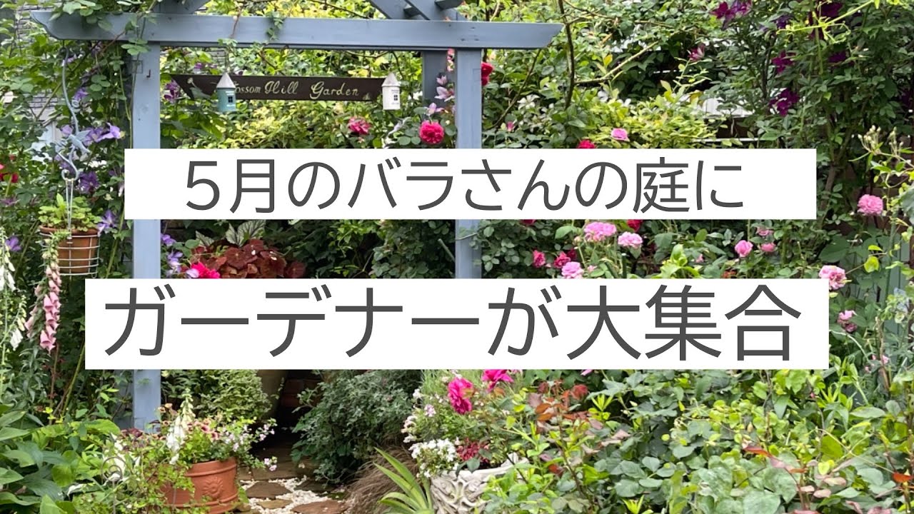 ５月某日バラさんの庭　県内外から集まったガーデナー達のマニアトーク