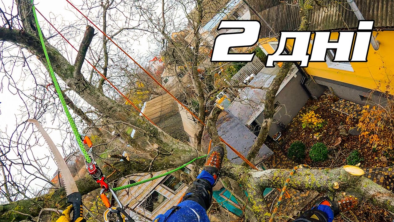 Складний великий горіх у скрутних умовах